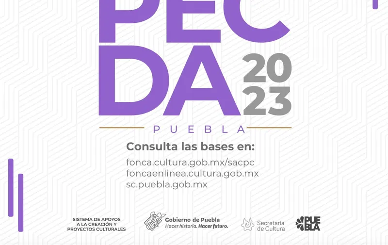 Beca PEDAC