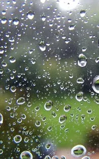 Lluvia dejó sin luz a 24 mil usuarios en Nuevo León