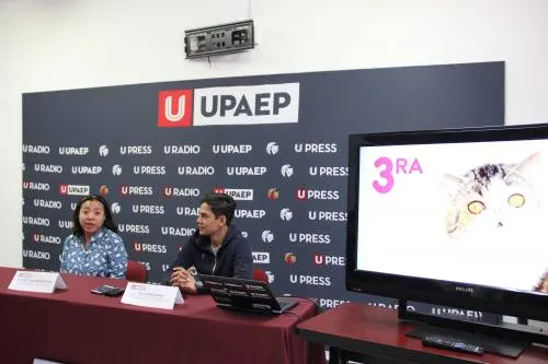 Cada año crece hasta en un 35% la presencia de gatos en México