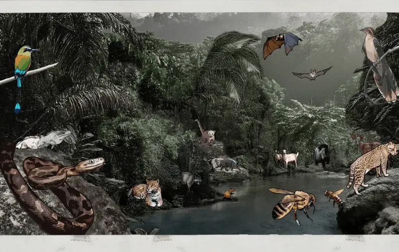 Imagen del artículo