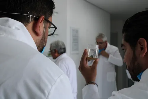 Visita SDR centro de FIRA en Tezoyuca para fomentar desarrollo de plantas ornamentales y agave