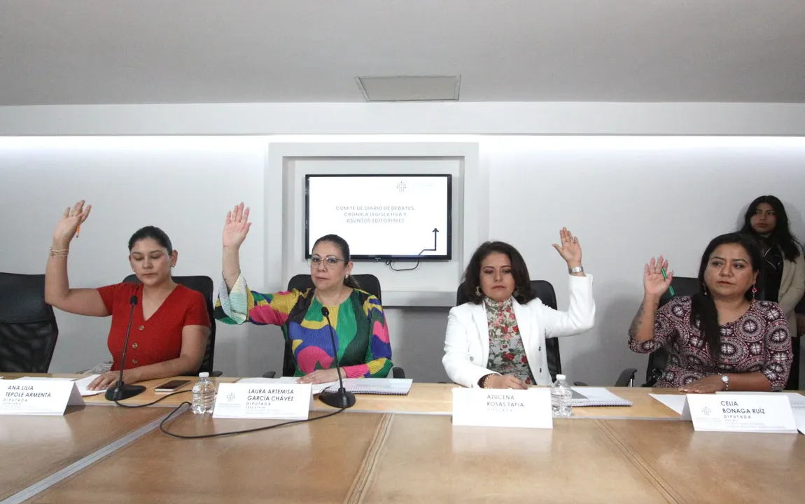 Comité de Diario de Debates, Crónica Legislativa y Asuntos Editoriales