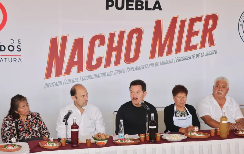 Ignacio Mier Velazco