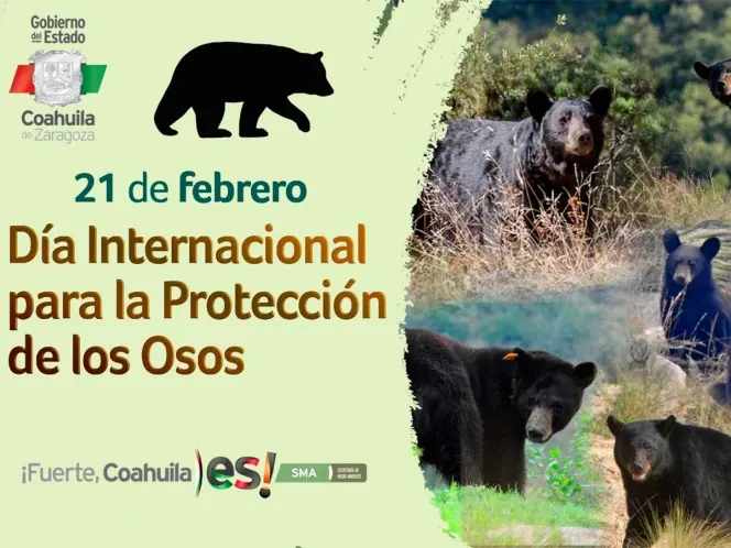Impulsa Coahuila la protección del oso negro