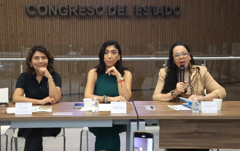 Convoca diputada Norma Pimentel a participar en el Foro sobre el Derecho Integral al Cuidado