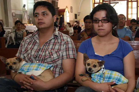 Poblanos llevaron a sus mascotas a bendecirlas al templo de San Antonio