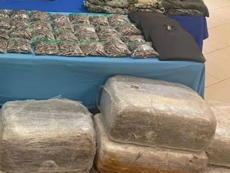 Aseguran arsenal y droga a cárteles de Tamaulipas