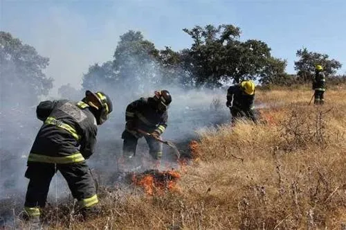 Activos pero controlados, tres incendios forestales: PC estatal