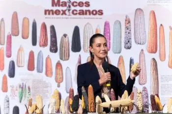 Anuncia Claudia Sheinbaum la creación del programa Sin maíz no hay país