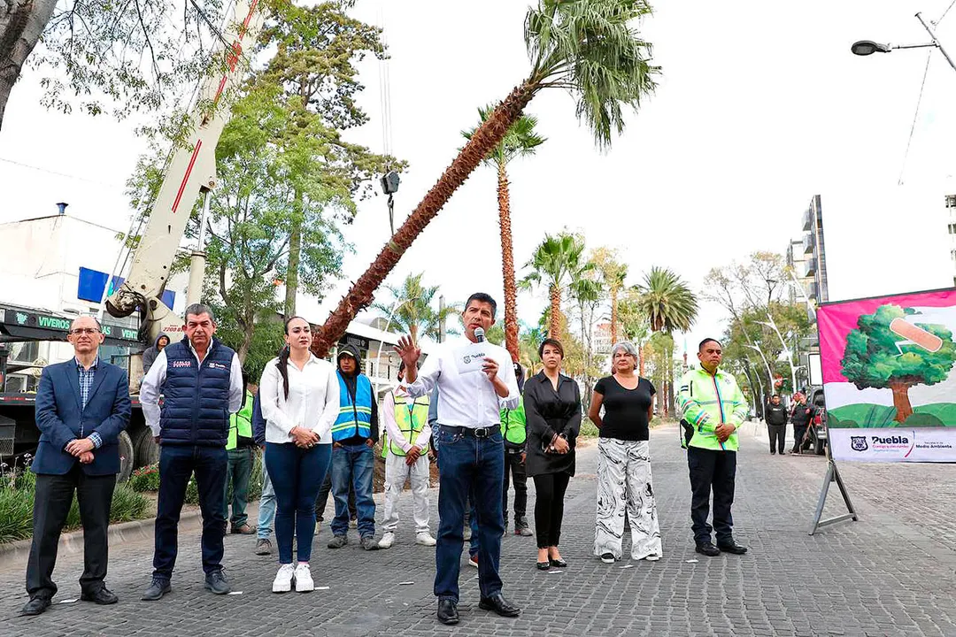 Ayuntamiento De Puebla Reforestacion Avenida Juarez