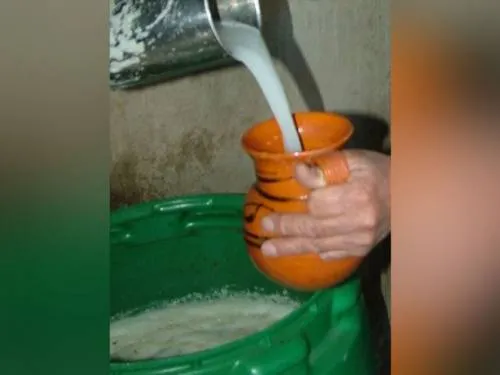 Pulque, la llamada bebida de los dioses; mitos y realidades