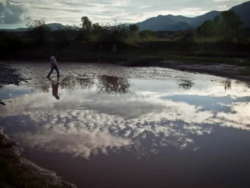 No hay pruebas que vinculen afectaciones al ambiente con derrame: Grupo México