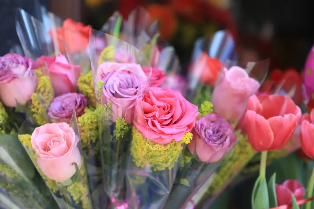 Flores