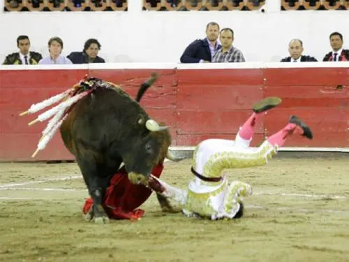 Video: Torero sufre brutal cornada en el escroto