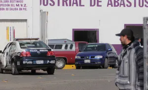 Aumenta hasta 150 por ciento matanza de porcinos en Rastro Municipal?