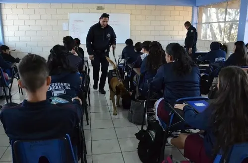 Operativo Mochila en estudiantes debe ser parte de una estrategia