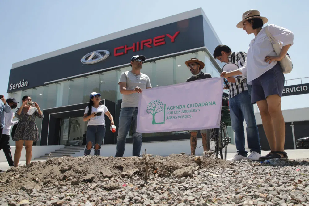 Marchan contra tala de árboles en bulevar Hermanos Serdán