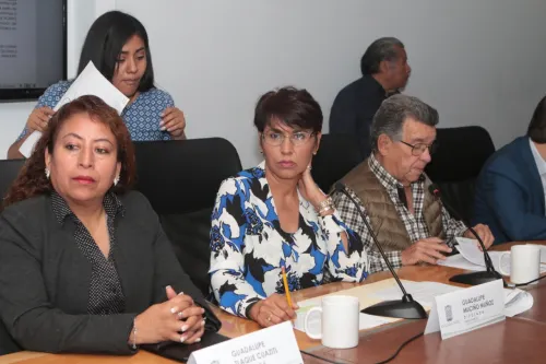 En Comisión aprueban exhortar a los 217 ayuntamientos a capacitar al personal en asistencia social
