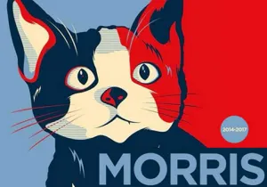 IDN llama a ejercer voto de castigo a favor del ?Gato Morris?