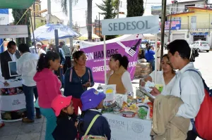 Federación acerca beneficios a los más vulnerables: Sedesol