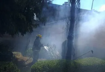 Bomberos lograron sofocar incendio de un pino en un domicilio de calzada Zavaleta