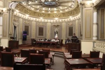 Impulsan en Puebla propuesta legislativa para prohibir intervenciones estéticas en animales