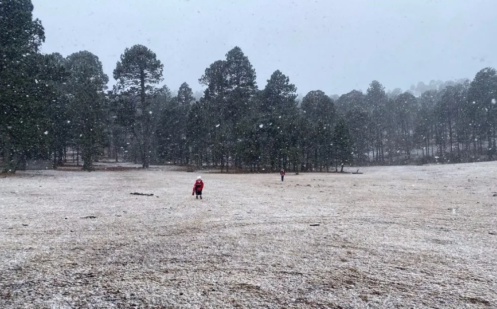 Se registra nevada en La Joya, Tamaulipas