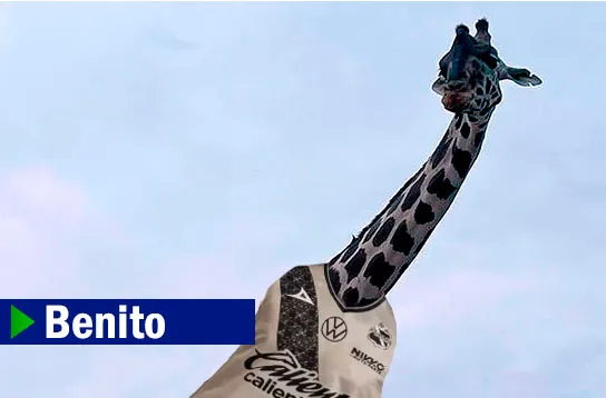 Jirafa Benito Jersey Puebla