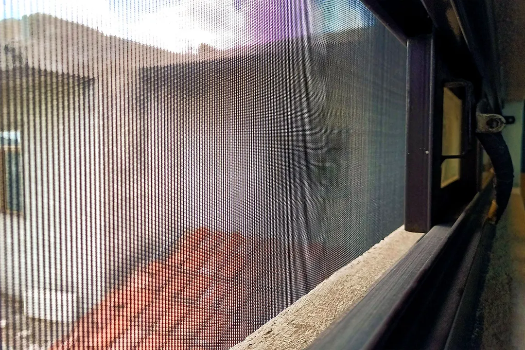 Dengue Mosquitero