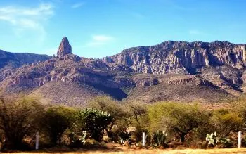 Sembrando Vida será implementado en la Sierra de San Miguelito