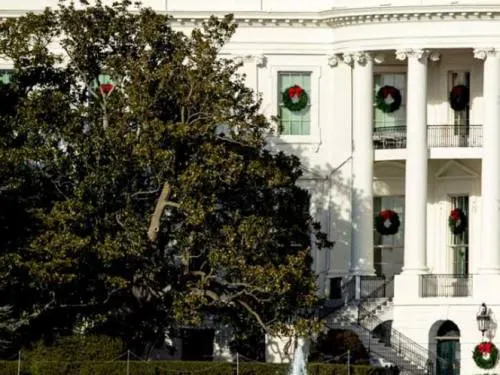 Ordenan retirada de histórica magnolia de la Casa Blanca