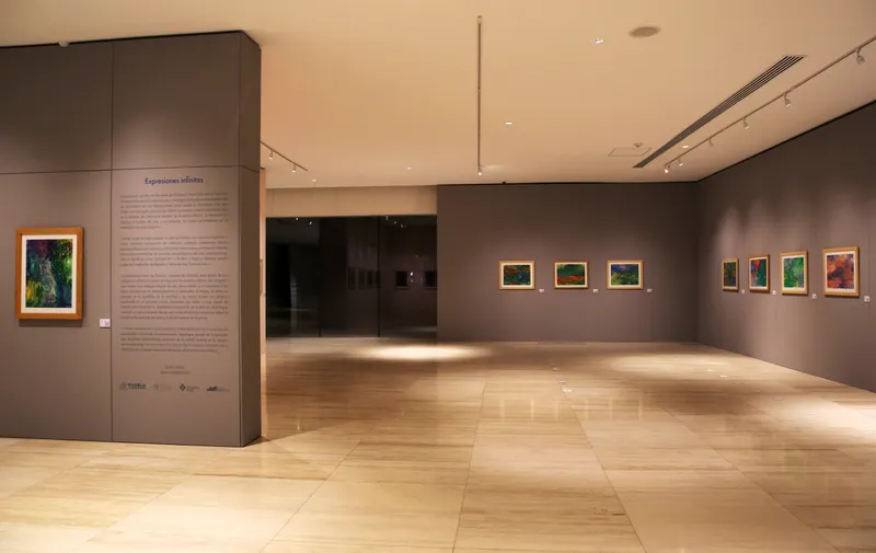 Imagen del artículo