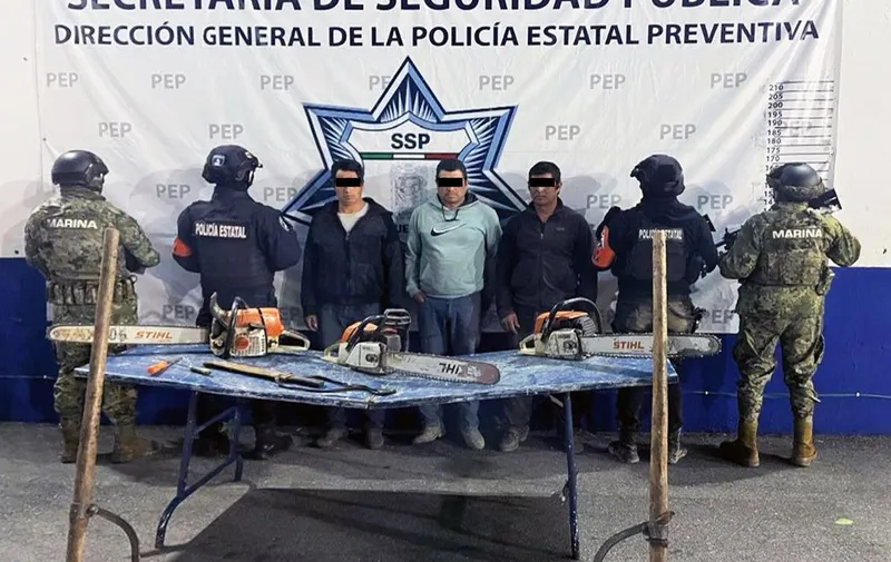 Detienen a tres por tala ilegal en Puebla; pobladores han retenido a seis policías forestales: SSP