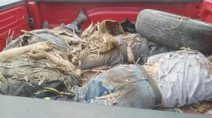 Encuentran en Veracruz 3 cadáveres de policías levantados en Puebla