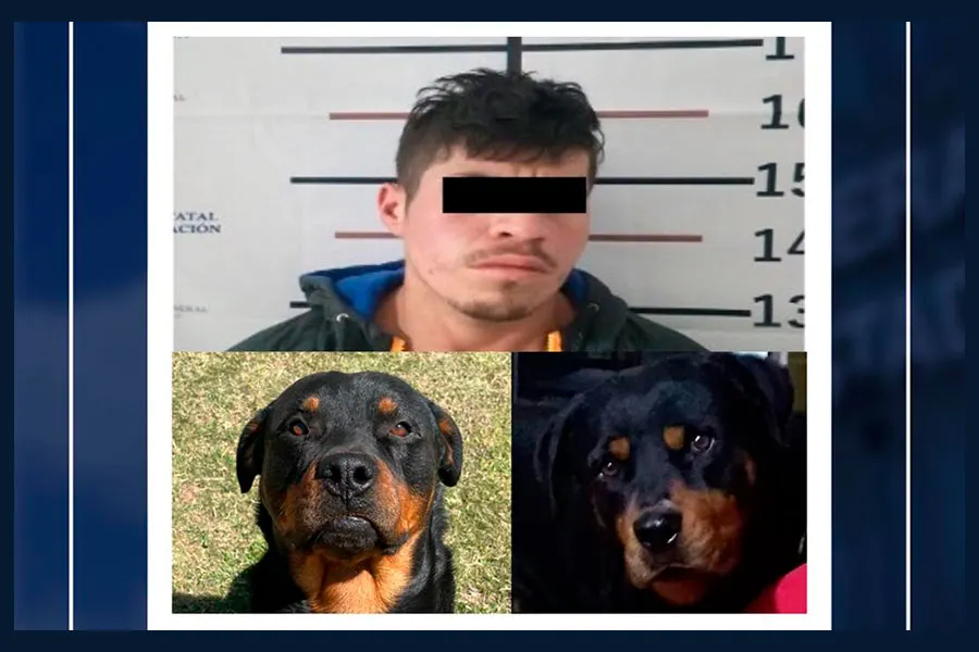 Rafael N Dtn Crueldad Animal Chignahuapan