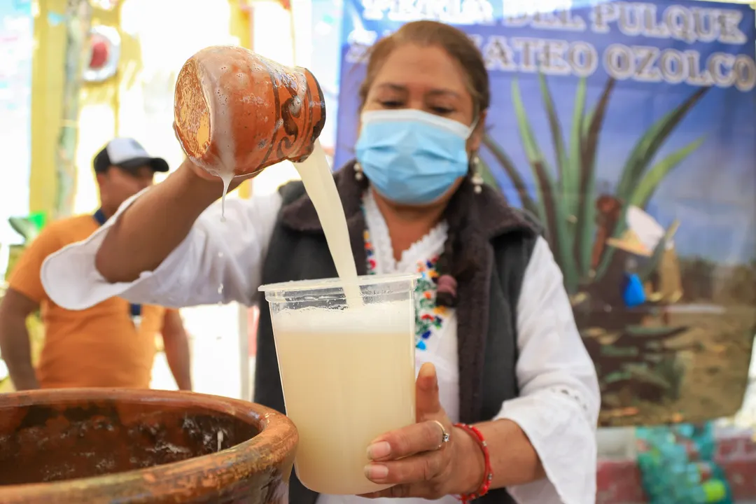 Festival del Pulque 2023