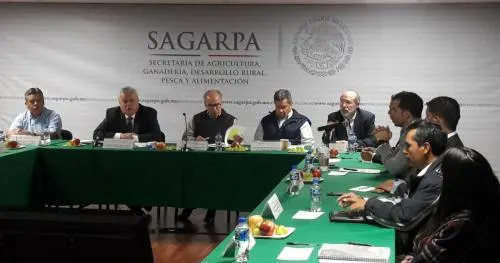 Prioritario apoyo a comunidades pesqueras en estrategia para conservación de la vaquita marina