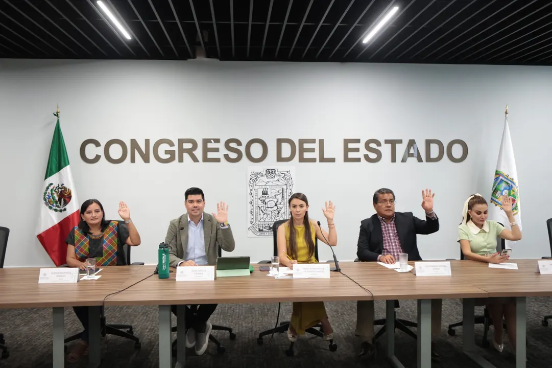 Congreso Pue Comision Familia Derechos Ninez