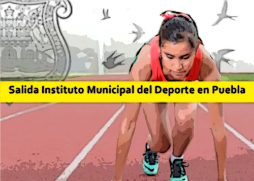 De encuestas electorales, pastelitos de marihuana y parientes en la nómina municipal