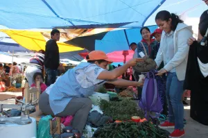 Vive San Pedro Cholula tradicional trueque