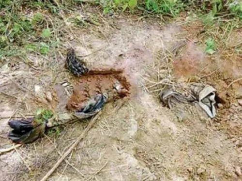 Encuentran 19 cuerpos en fosa de Jalisco