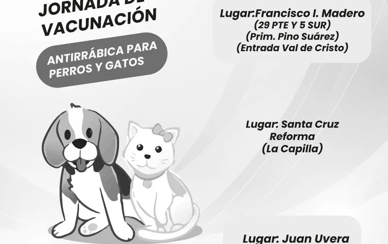 Imagen 5