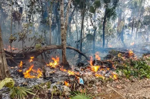 Un incendio quema 1.500 hectáreas y deja 4.000 evacuados en Canarias, España