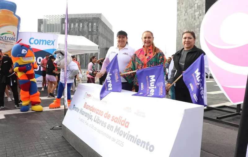 Imagen del artículo