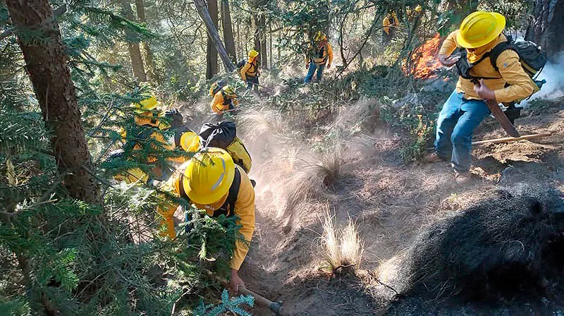 Incendio Forestal Atzitzintla