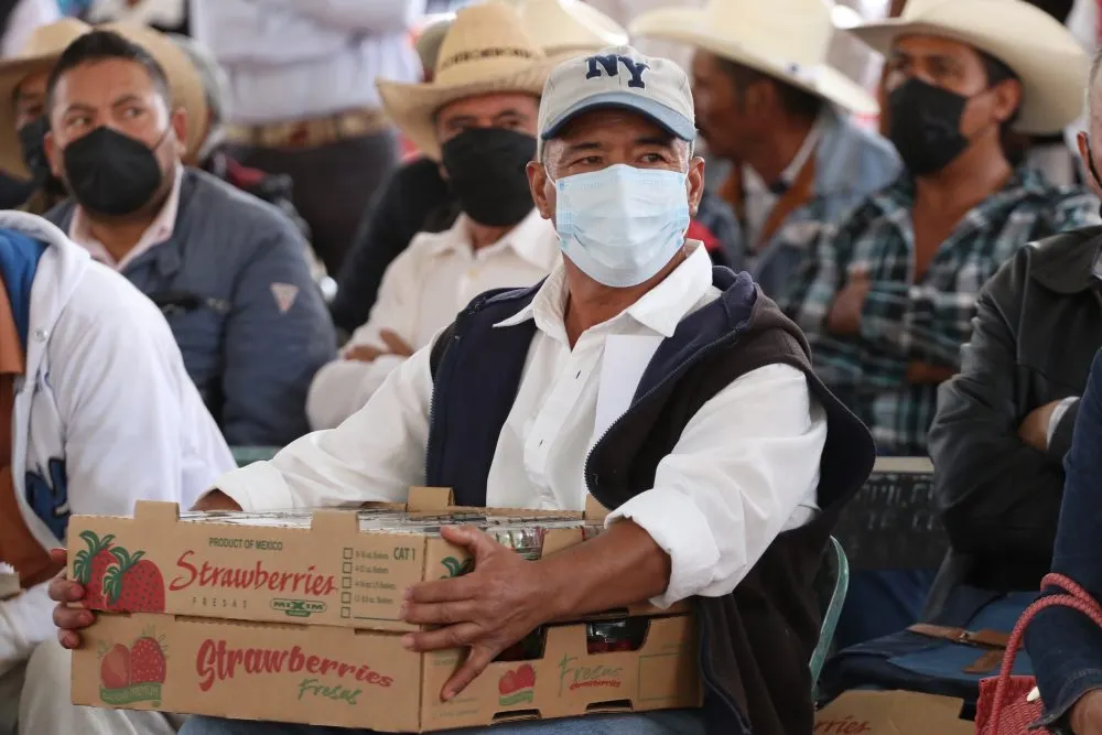 Tras petición en “Martes Ciudadano”, SDR apoyará a freseros de Ixtacamaxtitlán