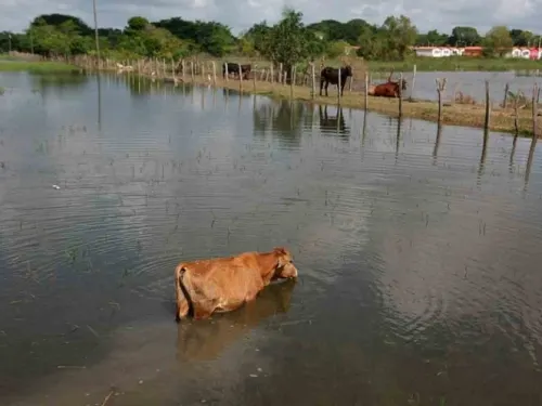 Habitantes de Centla, Tabasco cumplen 7 semanas bajo el agua