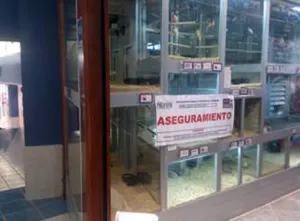 Aplica multa Profepa a Maskota por 4.3 mdp