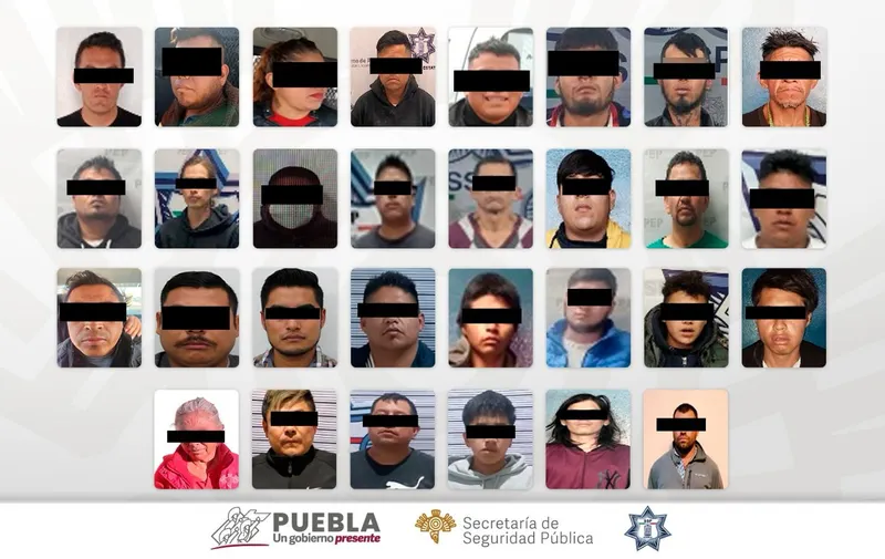 Imagen del artículo