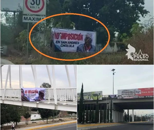 Imagen del artículo